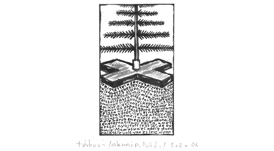 A partvisfenyő – © Tábori Csaba 2020